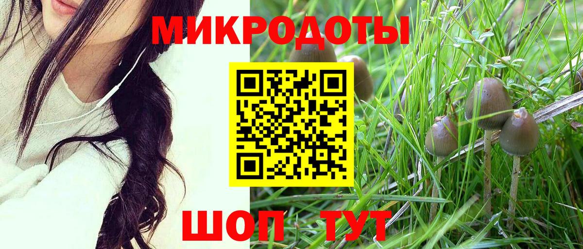 Галлюциногенные грибы Magic Shrooms  Псилоцибиновые грибы Psilocybine cubensis  Нижнекамск  Вход с VPN 