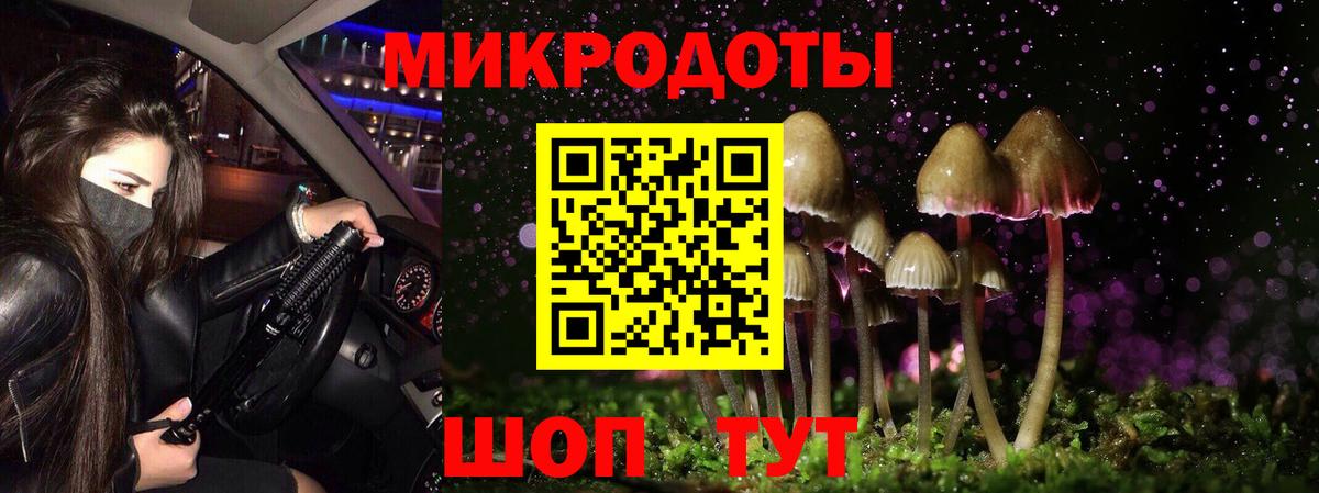 Псилоцибиновые грибы Psilocybe Нижнекамск
